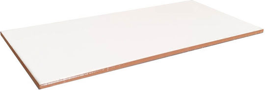 Stn Ceramica Placă Perete Interior Ceramic Mat 50x25cm Blanco Brillo