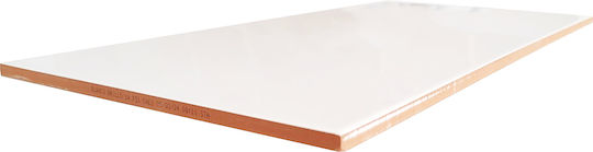 Stn Ceramica Placă Perete Interior Ceramic Mat 50x25cm Blanco Brillo