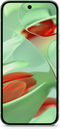 Google Pixel 9 5G (12GB/128GB) Wintergreen
