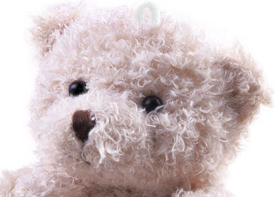 Plush Bear 8 cm