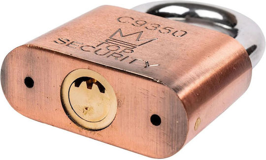 Richmann Lăcăt Potcoavă cu cheie 50mm 3buc