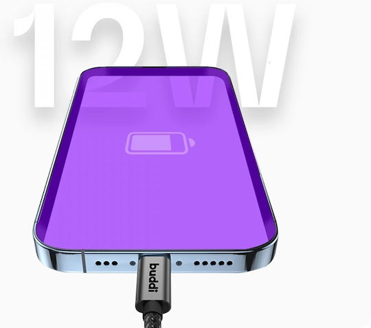 Buddi Редовна USB-A към Lightning кабел 12W Черен 3м (122493)