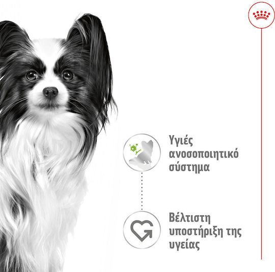 Royal Canin X-Small Adult Soße Nassfutter für ausgewachsene Hunde sehr kleiner Rassen bis 4 kg 85g