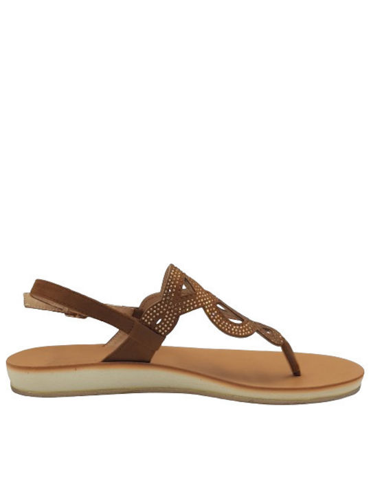 Parex Women's Flat Sandals Anatomic in Tabac Brown Color