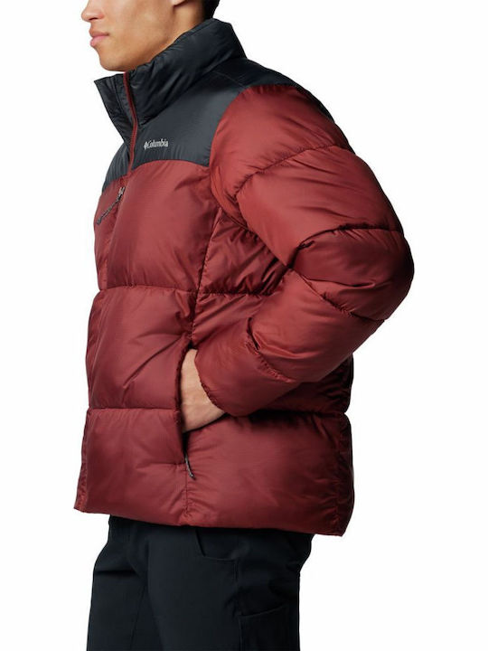 Winter Jacket Puffer Burgundy