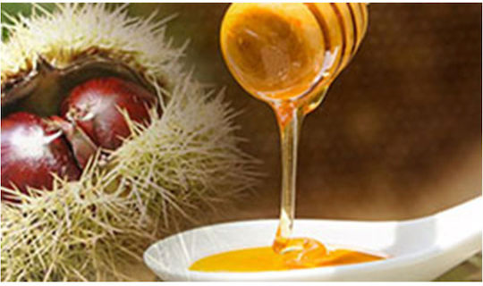 De Traay Βιολογικό Προϊόν Μέλι Καστανιάς 350gr