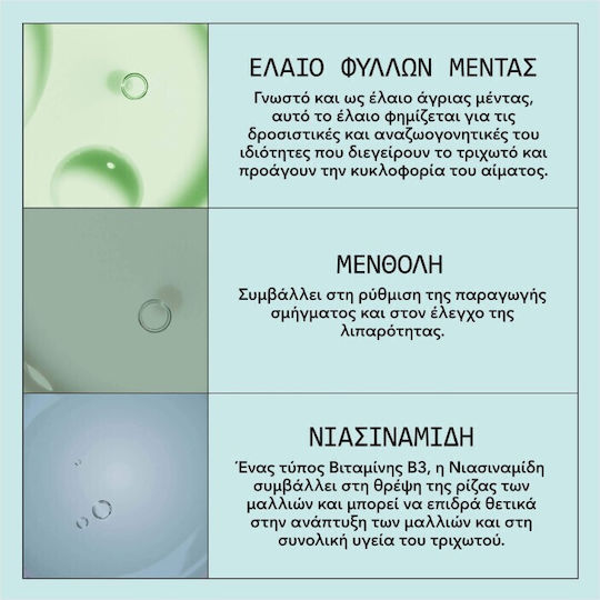 Nioxin Scalp Recovery Σετ Περιποίησης Μαλλιών κατά της Τριχόπτωσης για Λιπαρά Μαλλιά με Σαμπουάν, Conditioner & Serum 3τμχ