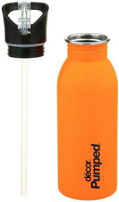 Ecolife Kinder Trinkflasche Rostfreier Stahl mit Strohhalm Orange 500ml