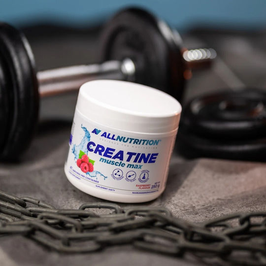 Allnutrition Creatine Muscle Max Flavoured Creatine 250g Blueberry