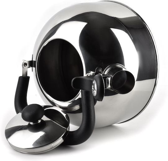 Ceainic Steve Silver 2.0l