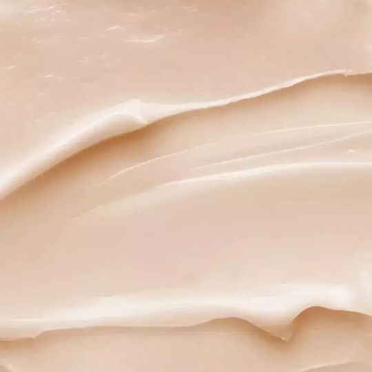 Payot Creme Gesicht Tag 25gr