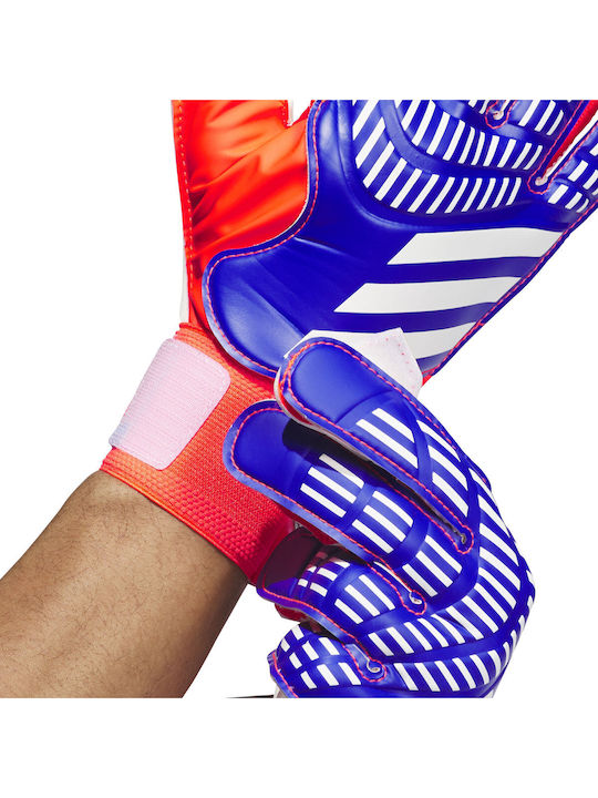 adidas Predator Training Голмански ръкавици за Възрастни Многоцветни
