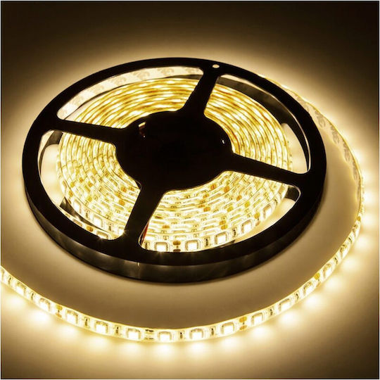 Led Strip Warm White Length 5 M 12v Dc Power 27.5w Ip65 3300 Lm