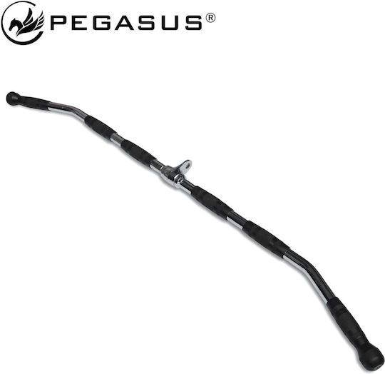 Pegasus Λαβή Πλάτης