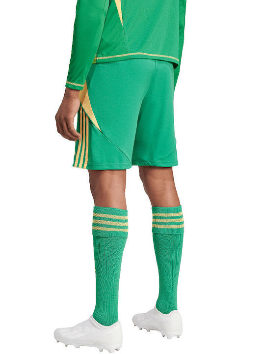 Adidas Tiro 24 Sportliche Herrenshorts GREEN