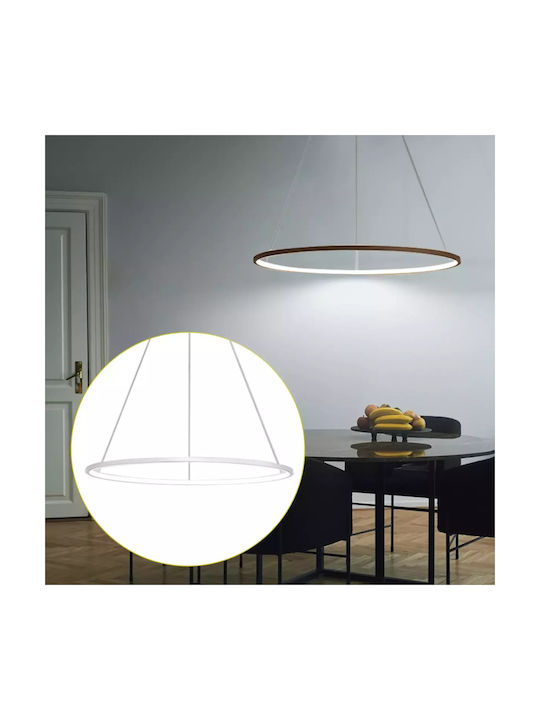 Led Ring Pendant Light 60cm Diameter Multi-color Options