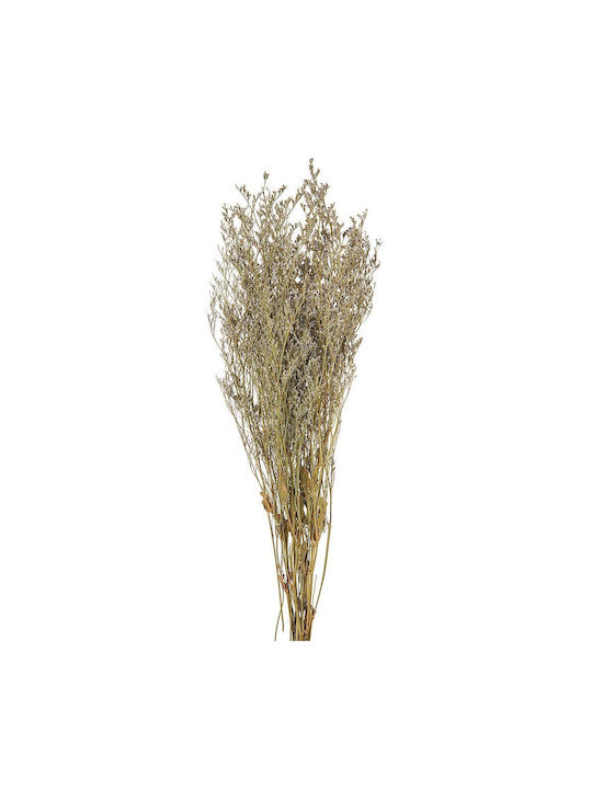 Αποξηραμένο Limonium Λευκό 70g 60εκ Ρτ160 Nv-500-530-160