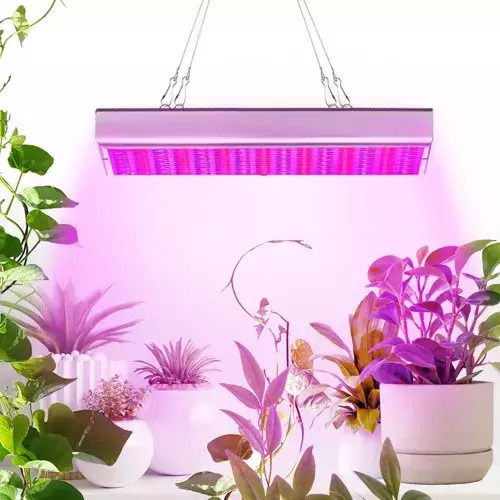 Gardlov Pendant Grow Light with LED and Power 36W L31xW31xH3.5cm.