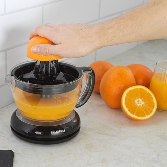 Petra Storcător electric 40W cu capacitate 700ml Negru