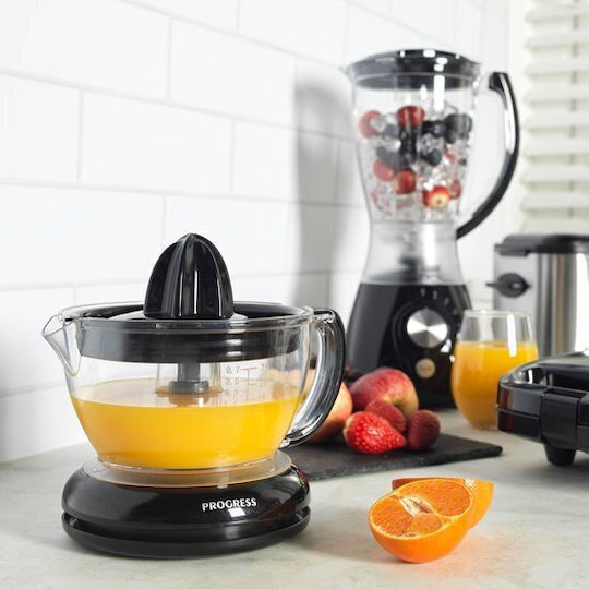 Petra Storcător electric 40W cu capacitate 700ml Negru