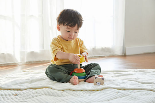 Plan Toys Pyramid Toy made of Wood