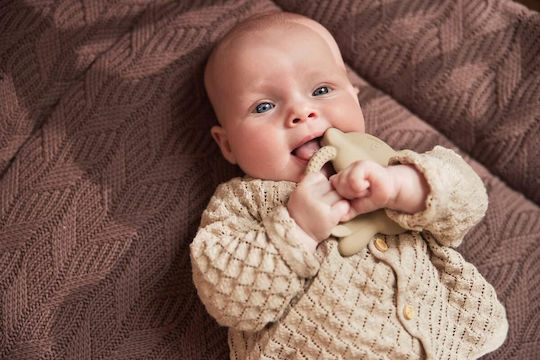 Jollein Baby-Spieldecken und -Gyms für Neugeborene