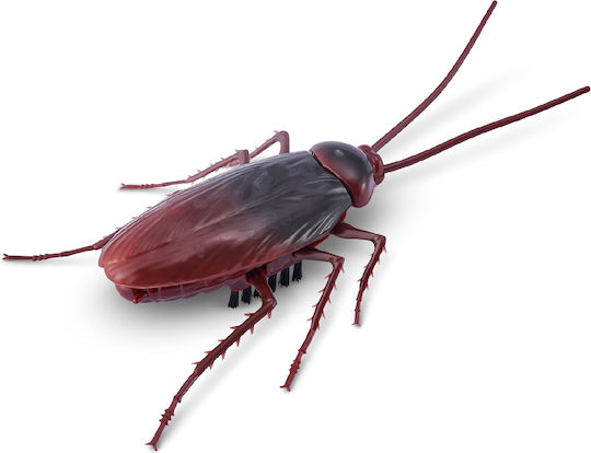 Zuru Robo Alive Cockroach Bulk Ηλεκτρονικό Ρομποτικό Παιχνίδι για 3+ ετών