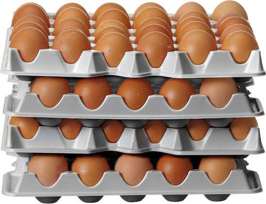 Egg Tray Ovobox Container 120 Set 4 Pieces