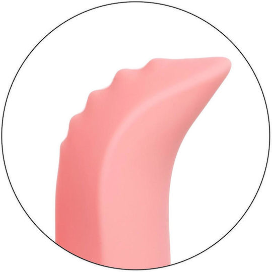 Entkorkt Zinfandel Pink