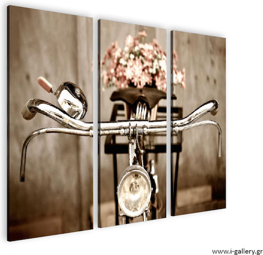 I-gallery Τρίπτυχος Πίνακας σε Καμβά 60x60cm