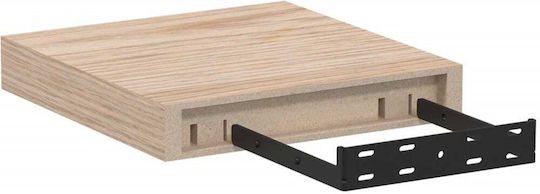 Wandregale Braune 2Stücke 23x23.5x4cm