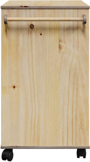 Floor Cabinet Brown 59x45x80cm