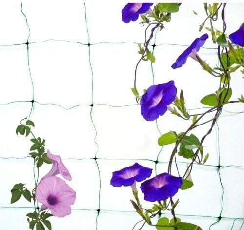 Climbing Plant Net Zola Cucumbers Peas Beans Other Vegetables Uv Resistant 2x 10 M
