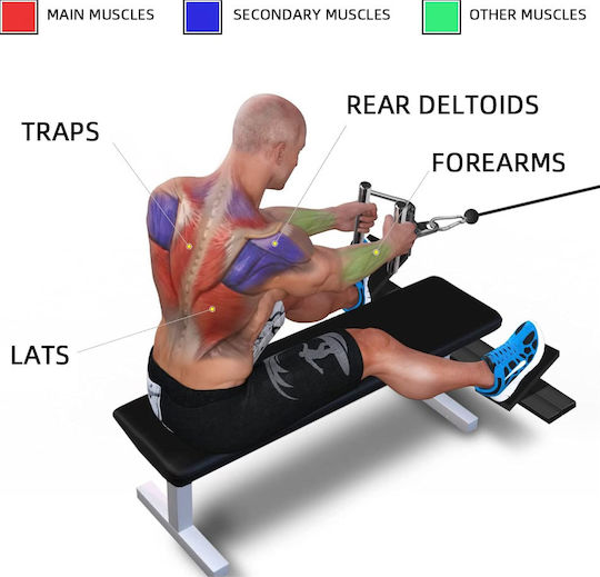 Triangular Double Handle Multi-gym Zola Triceps Back Steel Non-slip Rubberized Handle
