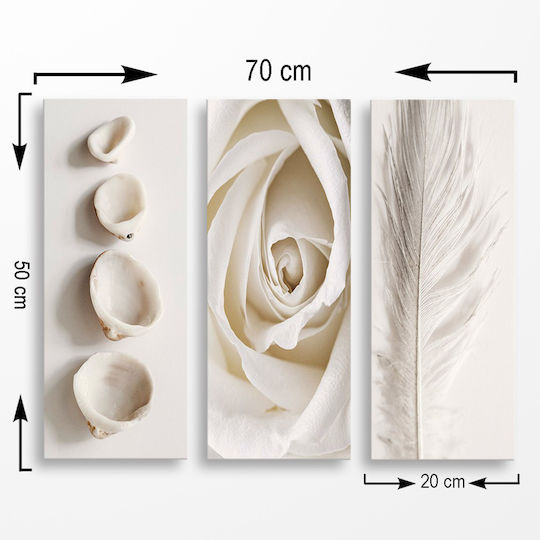 HomeMarkt Natural Elements Triplu Tablou Lemn 50x60cm