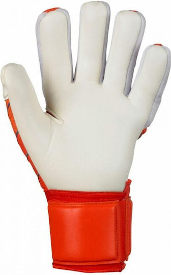 Select Sport Grip V24 Mănuși portar Adulți Portocaliu