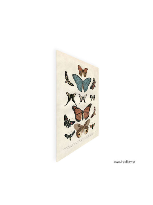 Fylliana Gold Butterflies Κάδρο σε Καμβά 50x70cm