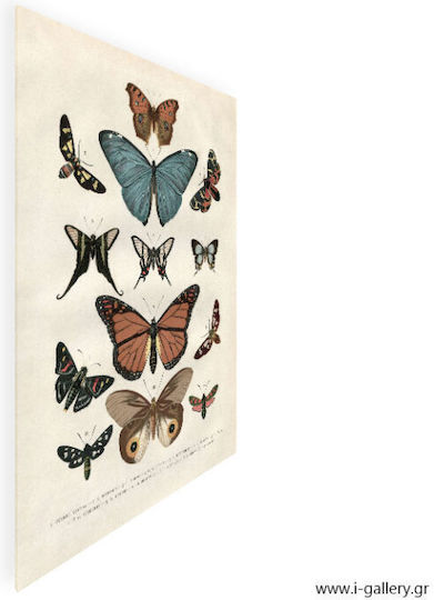 Fylliana Gold Butterflies Rahmen auf Leinwand 50x70cm