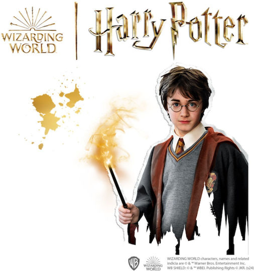 Harry Potter Creative Kids Set Molding Painting