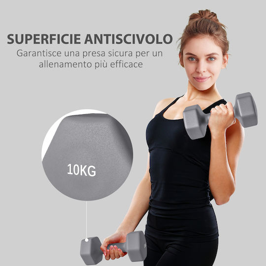 Sportnow Hanteln Sechseck 1 x 10kg