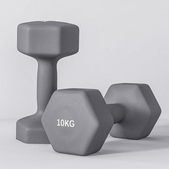 Sportnow Hanteln Sechseck 1 x 10kg