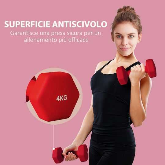 Sportnow Hanteln Sechseck 1 x 4kg
