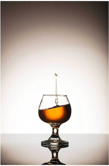 Glass Whiskey Splash Painting Whiskey Glass Splash 70x100