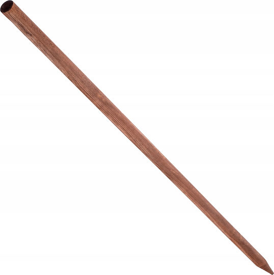 Kadax Plant Support Flowers Stakes Impregnated 5pcs