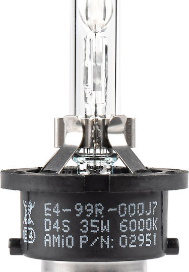 AMiO Λάμπα Αυτοκινήτου Basic D4S Xenon 6000K Ψυχρό Λευκό 35W 1τμχ