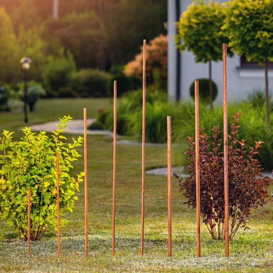 Kadax Plant Support Flowers Stakes Impregnated 5pcs