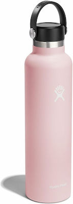 Hydro Flask Standard Mouth Bottle Thermos Trillium 710ml S24SX678