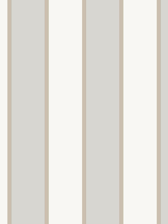 Wallpaper Amazzonia L1005xW53cm Gray