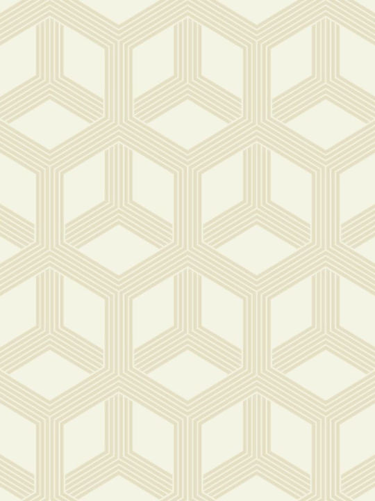 Wallpaper Galactik Vinyl Beige L1000xW53cm Washable