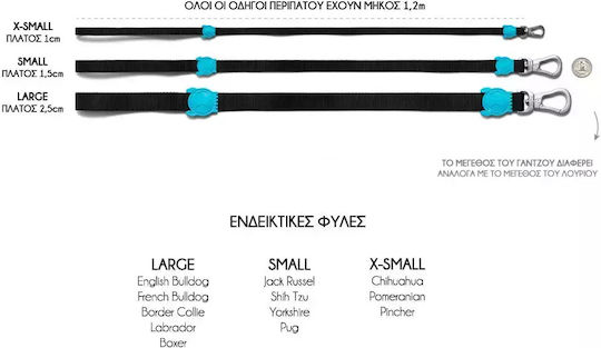 Zee Dog Οδηγός Περιπάτου Σκύλου Neopro Μπλε 120cm 1,5cm S